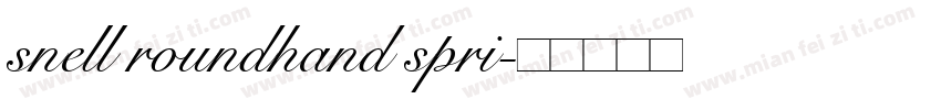 snell roundhand spri字体转换